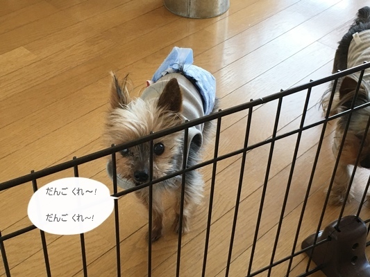 OYz[2016-04-05-2.jpg